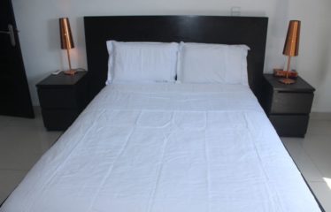 COCODY : Appartement meublé de 3 pièces à louer