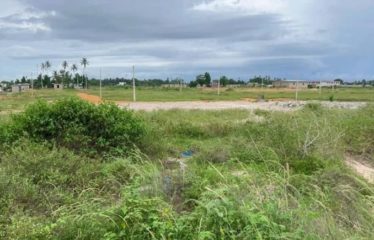GRAND BASSAM : Terrain de 1000 m² à vendre
