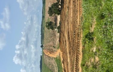 SONGON : Vente de terrains 400m2