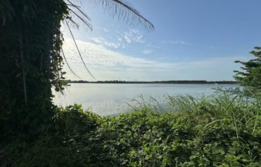 ASSINIE : Vente de terrain à assinie pied dans l’eau