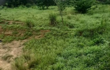 ABIDJAN COCODY : Terrain 4000 m2 à vendre Beverly Hills