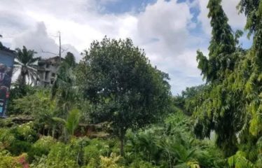 ABIDJAN COCODY : Terrain à vendre 1119 m2