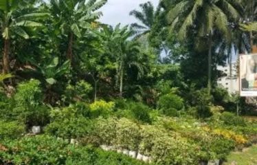 ABIDJAN COCODY : Terrain à vendre 1119 m2