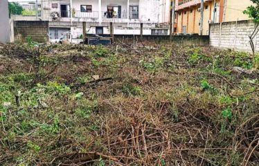 ABIDJAN COCODY : Terrain 600m2 à vendre Riviera Palmeraie