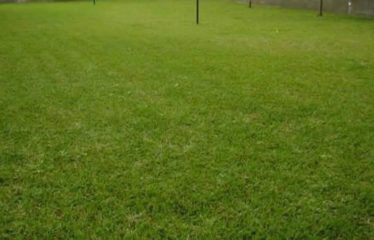 ABIDJAN COCODY : Vente terrain nu ABATTA 775 m2 ACD