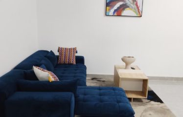ABIDJAN MARCORY : Appartement meublé zone 4 à louer