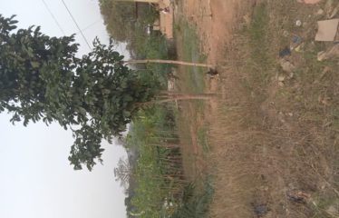 ABIDJAN ABOBO :Terrain à djibi village à vendre