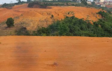 ABIDJAN COCODY : Terrain en vente Angré Djorogobité 1