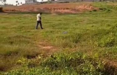 ABIDJAN BINGERVILLE : Terrain de 300 m² à Bingerville
