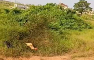 ABIDJAN BINGERVILLE : Terrain de 300 m² à Bingerville