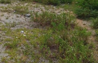 YAMOUSSOUKRO : Terrain de 800m² à vendre Yamoussoukro