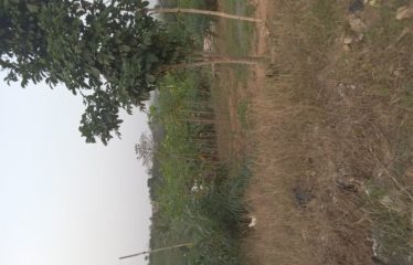 ABIDJAN ABOBO : Terrain en vente