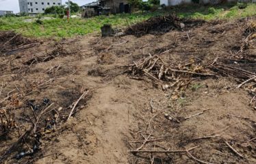 ABIDJAN BINGERVILLE : Terrain de 599 m2 en vente à Bingerville