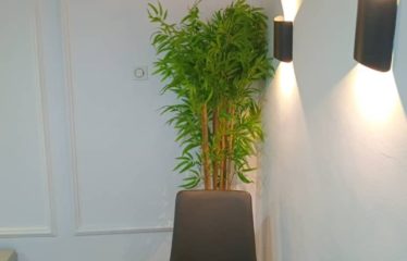 JACQUEVILLE : Appartements meublés à louer 2 pièces