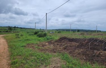ABIDJAN BINGERVILLE : Terrain en vente 423m2 avec ACD