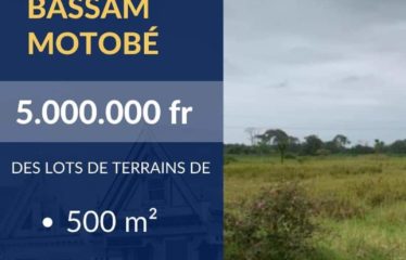 GRAND-BASSAM : Terrain à vendre à BASSAM MOTOBÉ