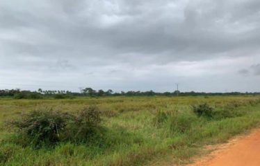 GRAND-BASSAM : Terrain à vendre à BASSAM MOTOBÉ