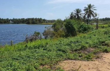 GRAND-BASSAM : Terrain à vendre pieds dans l’eau