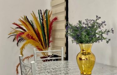 ABIDJAN COCODY : Appartement meublé 3 pièces à louer Angré CGK