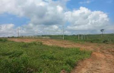 SONGON : Terrain en vente 600 m2