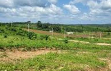 SONGON : Terrain en vente 600 m2