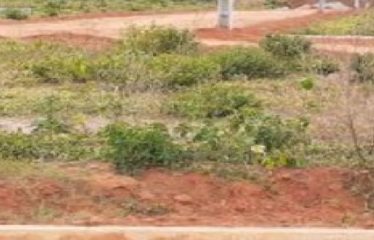 SONGON : Terrain en vente 600 m2
