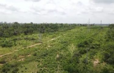 YAMOUSSOUKRO : Terrains de 500 m2 à vendre – Houphouet Diekro