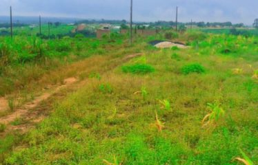 ABIDJAN COCODY : Terrain en vente à SIPO