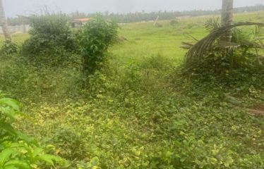 GRAND-BASSAM : Terrains de 400 m2 en vente à Bassam