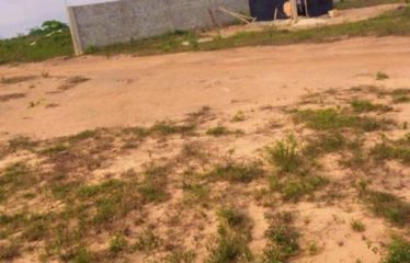 ABIDJAN ANGRÉ : Terrain en vente 3 hectares