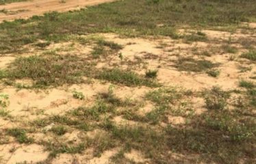 ABIDJAN ANGRÉ : Terrain en vente 3 hectares
