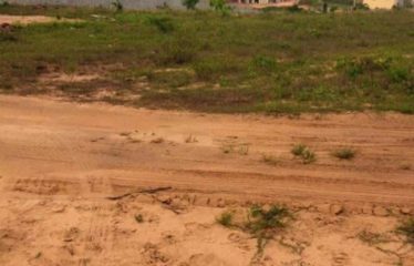 ABIDJAN ANGRÉ : Terrain en vente 3 hectares