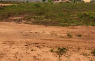 ABIDJAN COCODY : 8 Lots de 400 M² en vente à ANGRE