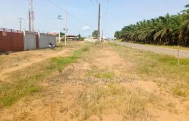 ABIDJAN BINGERVILLE : Terrains à vendre 500m2 avec ACD