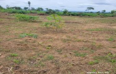 ABIDJAN BINGERVILLE : Terrains à vendre 500m2 avec ACD