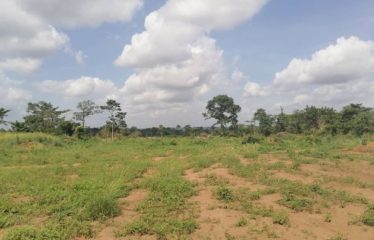 ABIDJAN BINGERVILLE : Terrains à vendre 500m2 avec ACD
