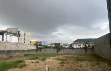 ABIDJAN COCODY : Terrain en vente 600m2