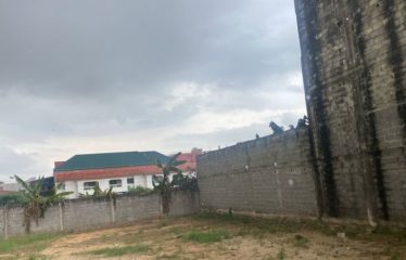 ABIDJAN COCODY : Terrain en vente 600m2