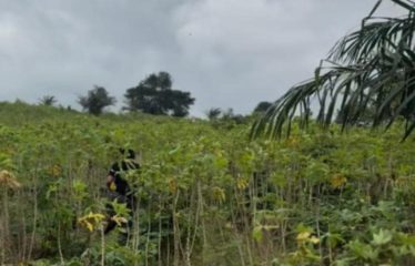 BINGERVILLE : Des terrains en vente 500 m2
