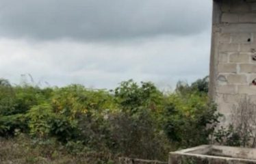 BINGERVILLE : Des terrains en vente 500 m2