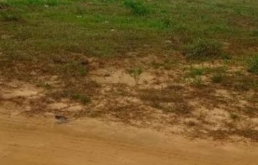 ABIDJAN ANGRÉ : Terrains en vente à Angre Djorobite