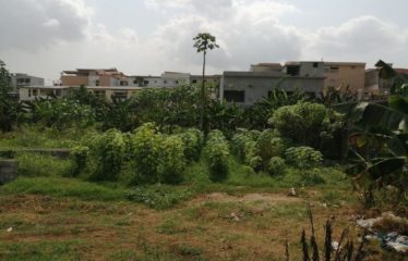 ABIDJAN ANGRÉ : Terrains en vente à Angre Djorobite