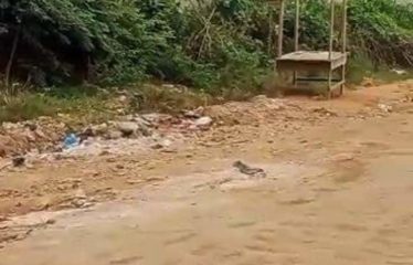 ABIDJAN ANGRÉ : Terrains en vente à Angre Djorobite