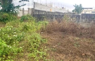 ABIDJAN COCODY : Terrain clôturé de 1000 m2 à vendre – Riviera M’Badon