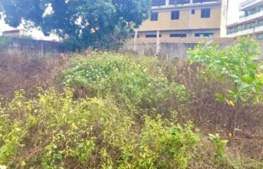ABIDJAN COCODY : Terrain clôturé de 1000 m2 à vendre – Riviera M’Badon