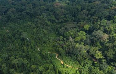 ALÉPÉ: Terrain à vendre à Brofodume