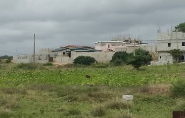 ABIDJAN SONGON : Terrain à vendre avec ACD