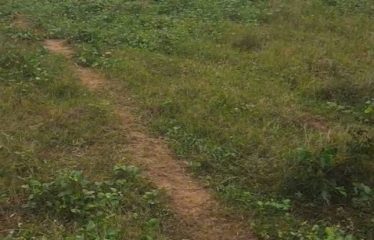ABIDJAN BINGERVILLE : Terrain avec ACD individuel à vendre