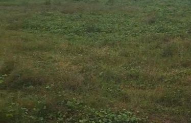 ABIDJAN BINGERVILLE : Terrain avec ACD individuel à vendre