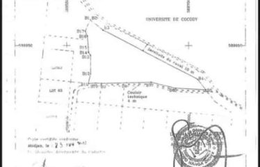 ABIDJAN COCODY : Terrain de 5641 m2 en vente